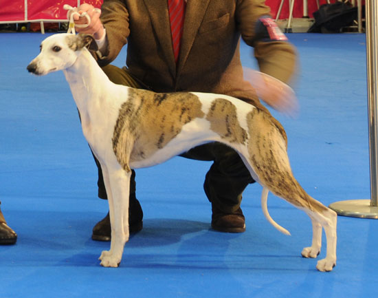 Publication : de isla de bali 