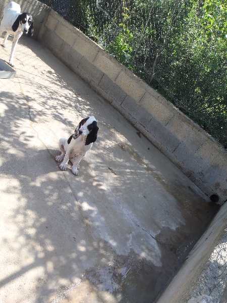 Publication : De L'echo Du Valladas 