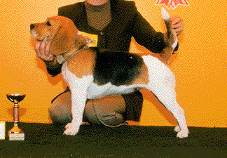 CH. Borowka tel quel