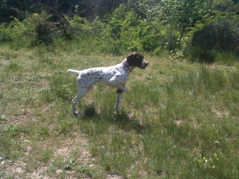 Ghost de Cante Pardigaou