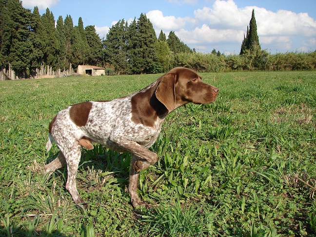 CH. Tempo de st montange