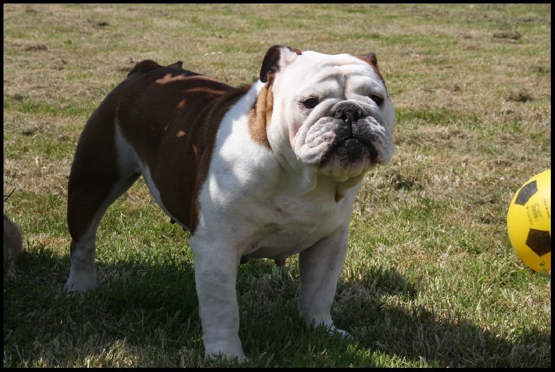 Darling sweet De winooka