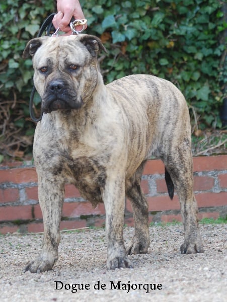 Publication : De la crique du Flojule Auteur : cedric grange 