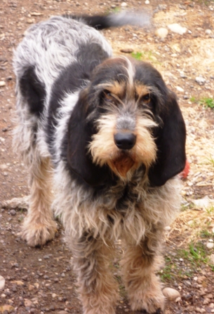 Publication : Of Paradisiac Life