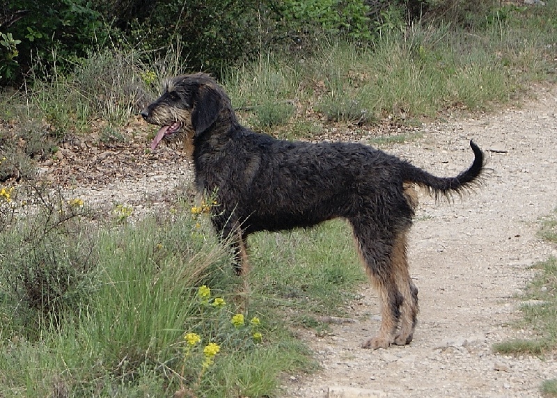 Publication : du roc d'Eden Auteur : Sylvie Hebert