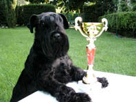  Auteur : Ilona Waldmann