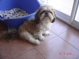 Coolie (Sans Affixe)