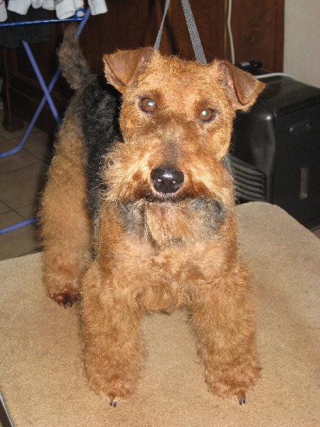 Publication : Playgirl's 