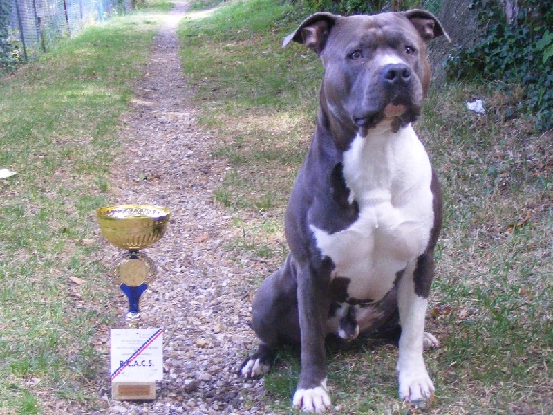 'a' kyser pablo (Sans Affixe)