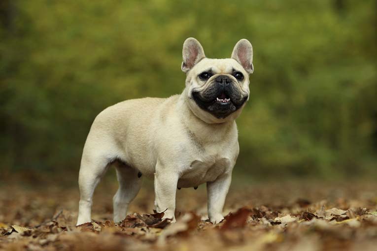 Publication : from the joy of living Auteur : Arioko