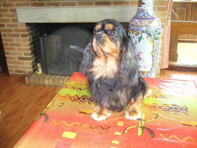 Publication : du manoir de Bouneray Auteur : marcel Bouvier