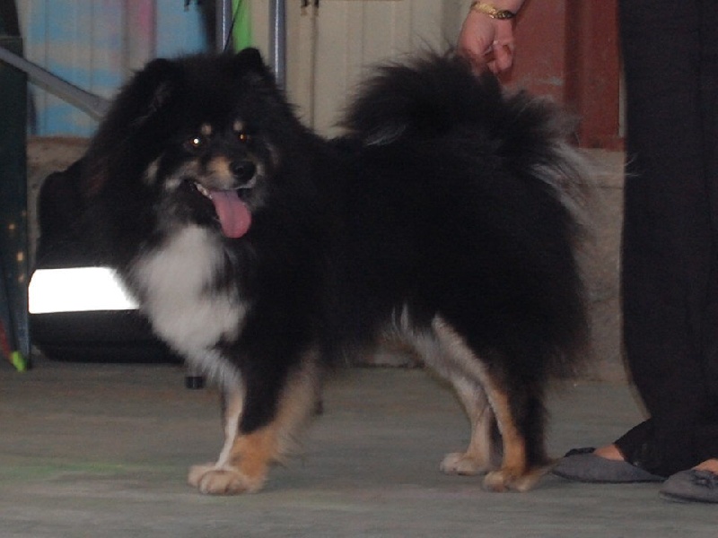 Publication : du Domaine D'Arinella Bianca Auteur : Legret Laurence