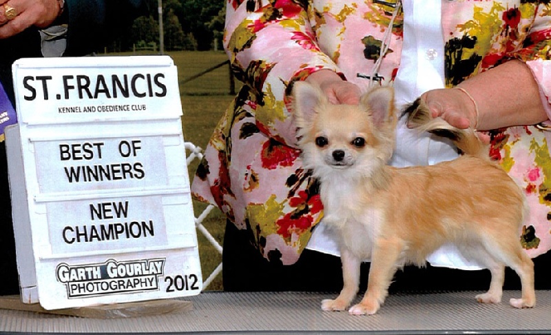 Publication : du Moulin de Kerliviry 