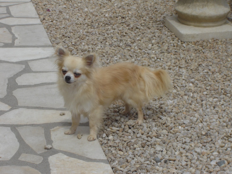 Publication : Of for ever young Auteur : bouin jean marc