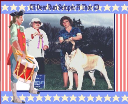CH. (Sans Affixe) Deer run semper fi thor cd