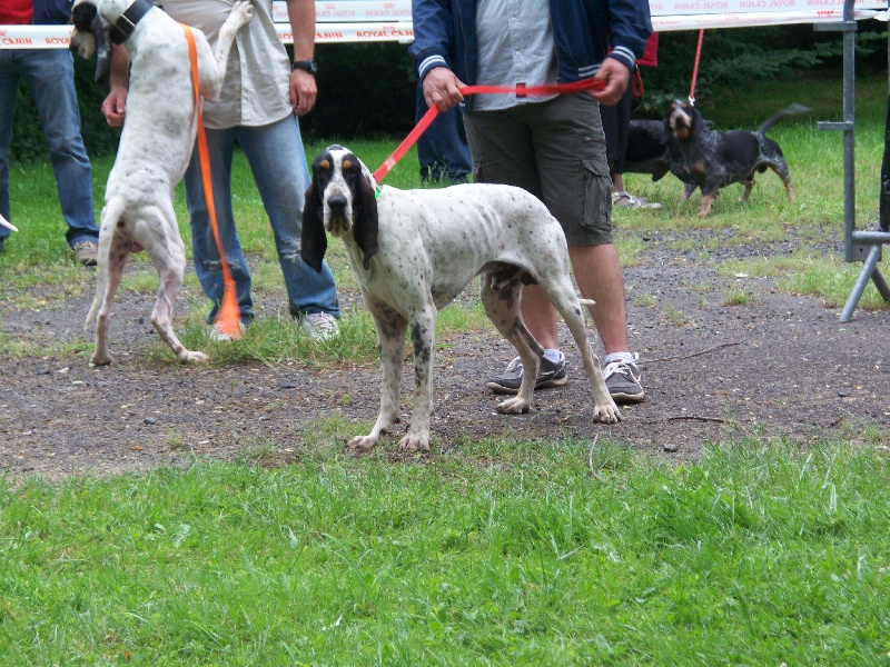 Publication : Du vallon Pourpre Auteur : claudine guimbaud