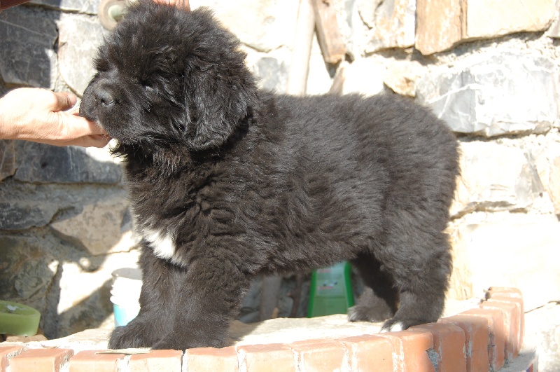 Publication : di mareland Auteur : nicholas