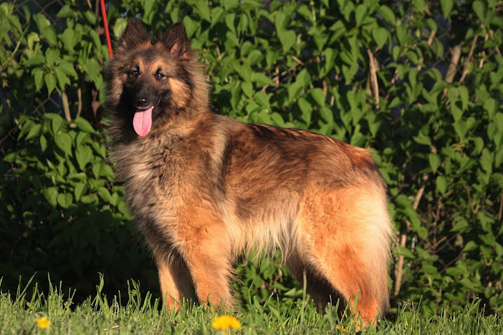 Publication : polaris 