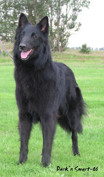 ebontide My nightrunner