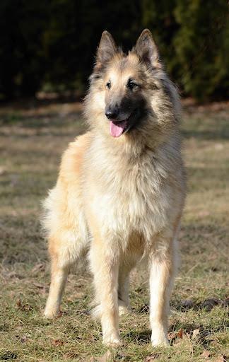 Publication : polaris 