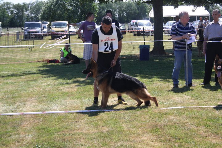 Publication : van t’bosscherhof 