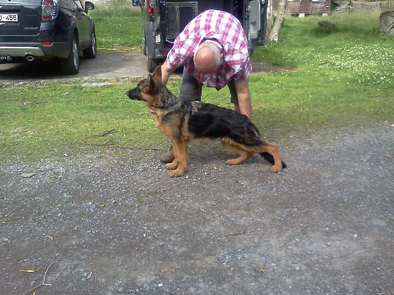 Publication : van t’bosscherhof