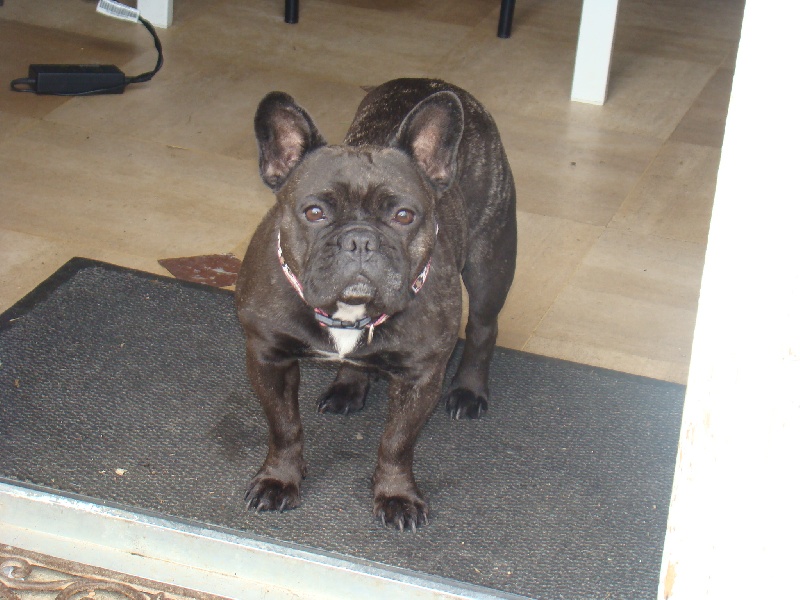 Publication : des Joyaux du Royaume Valyo Auteur : Valérie LEMAIRE