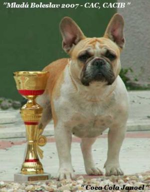 CH. Coca cola janoël