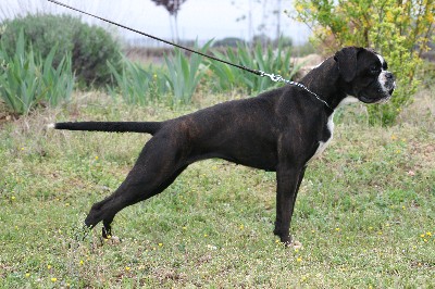 Publication : du royaume de sky Auteur : Sébastien BENESPERI