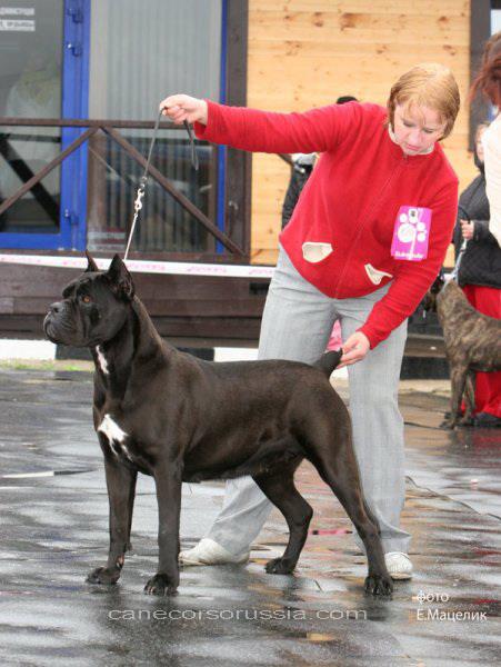 ekskljuziv-n Bavaria