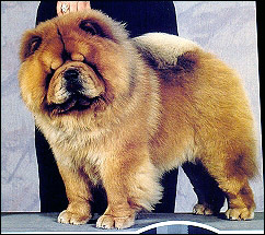 cheries Higlander o hannibal(usa)