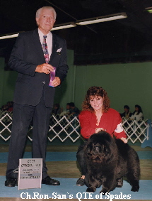 be-mar Ron-san's qte of spades