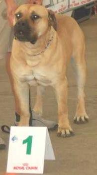 Publication : Vom Landleben