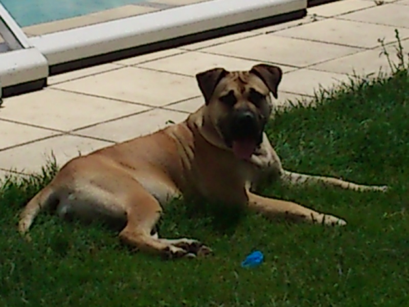 Publication : Vom Landleben