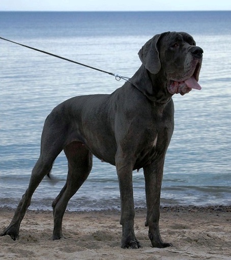 Publication : myszatka Auteur : Mech