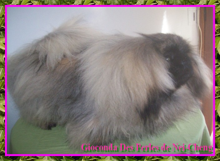 Publication : Des perles de nei-cheng