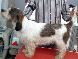 Publication : Da Curuxeira Auteur : Noelia Barcia