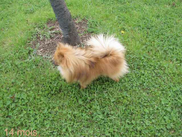 Gladys de dame nature