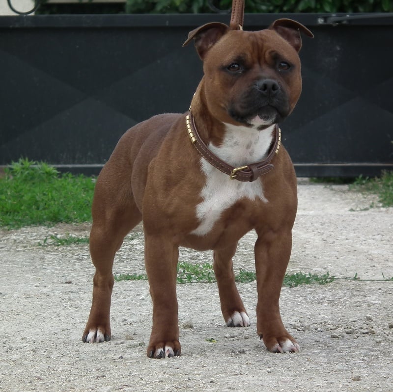 Publication : Sweetdemon's