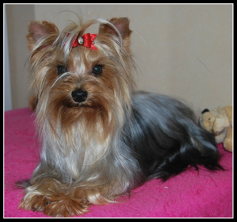 Publication : de terre basse 