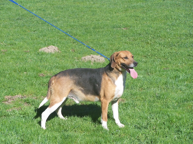 Publication : des hauts plateaux du vercors 