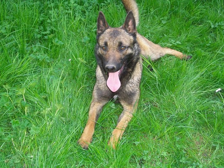Etna de la légende des cheyennes