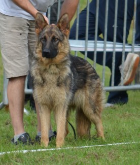 Publication : Du Territoire Des Anges