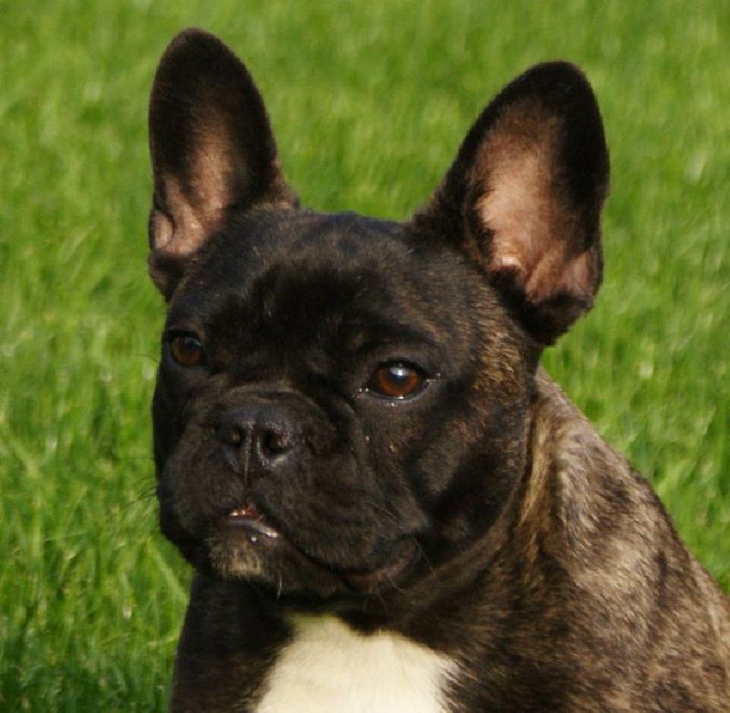 Marcelina Z Horowych Bagien