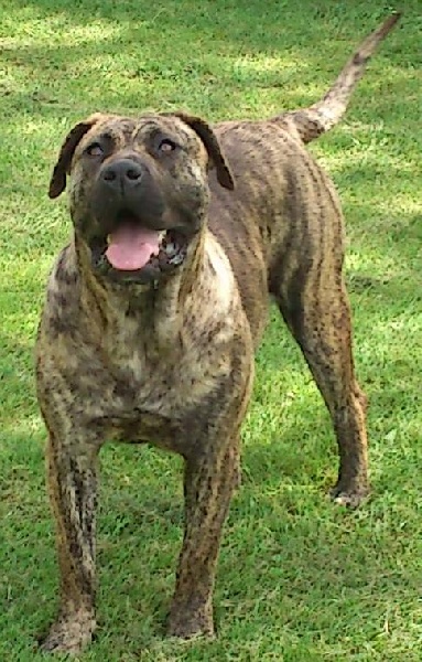 Publication : Vom Landleben 