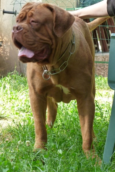 Publication : Amparador Canh 