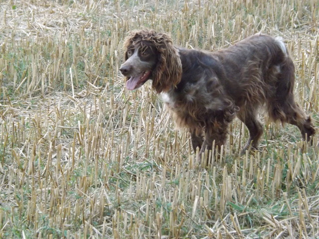 Publication : de la Ferme du Chez 