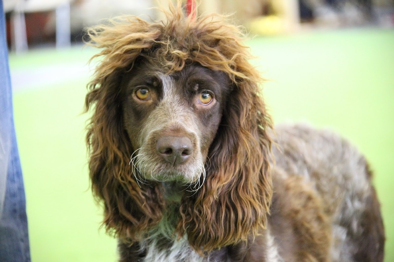 Publication : de la Ferme du Chez 