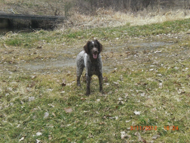 Publication : de la Ferme du Chez