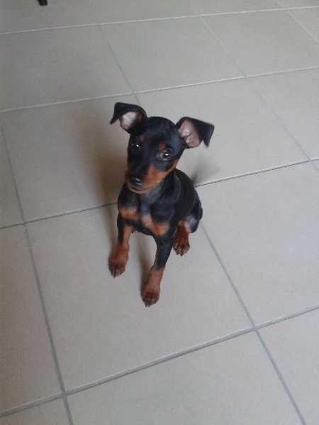 Publication : du domaine de Tarmac